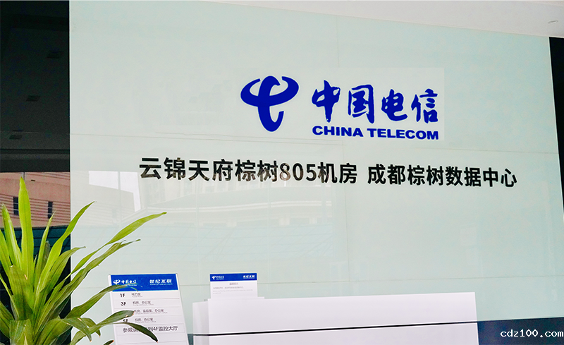 成都云锦天府-棕树805机房(棕树机房) 成都云锦天府-棕树805机房(棕树机房)