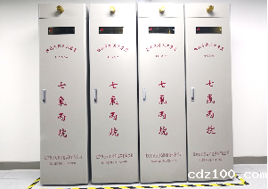 棕树机房消防系统 棕树机房消防系统