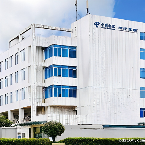 中国电信棕树数据中心