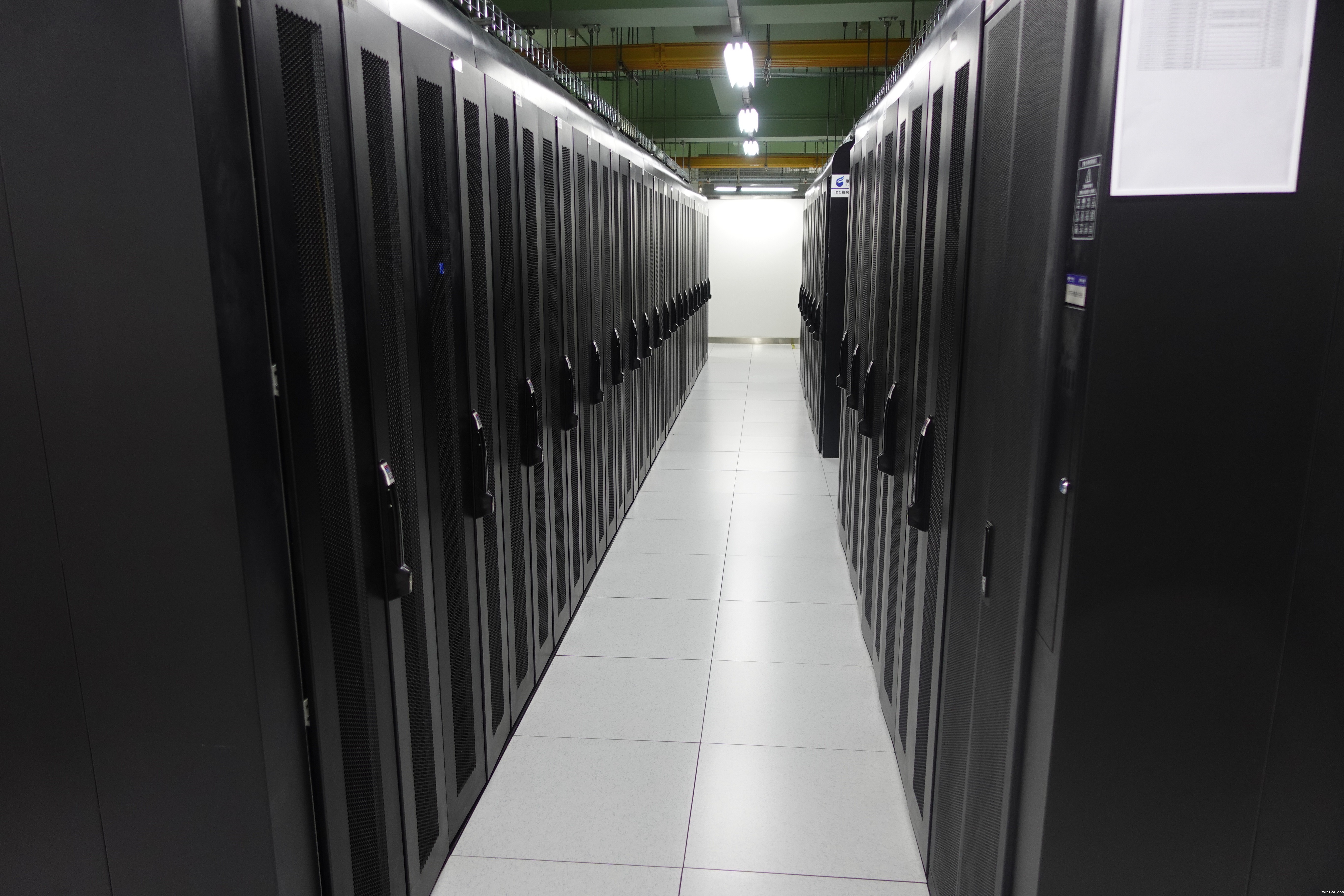 L20和H20八卡租赁价格对比，哪款更划算？