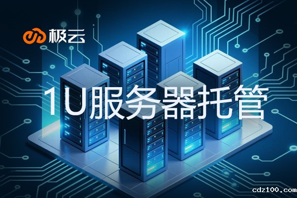 1U服务器托管 - 服务器托管的优缺点