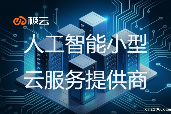 人工智能小型云服务提供商 - IDC行业新势力崛起
