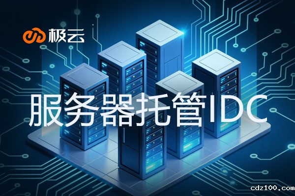 服务器托管IDC：2025年企业数字化转型的核心引擎